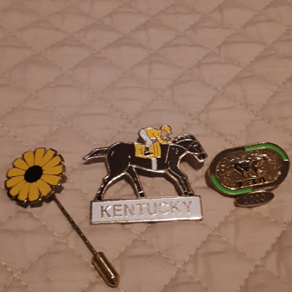 Racetrack horse  pin